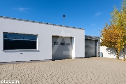 Hala Produkcyjna / Magazynowa Brzoza przy 25