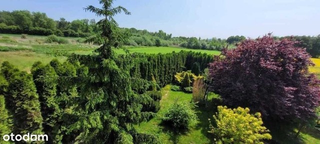 od Wrocławia 38 minut, miasto Żarów