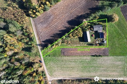 (Rezerwacja )Siedlisko na sprzedaż w sąsiedztwie lasu na Kujawach