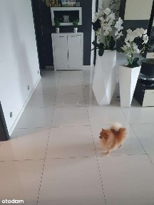 Sprzedam lub zamienię piękne mieszkanie