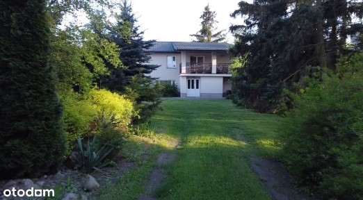 Wygodny dom zatopiony w zieleni