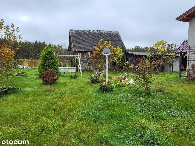 Sielski dom z duszą wśród lasów i jezior - Olszyny, gm. Czersk