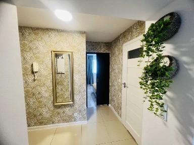 Mieszkanie do wynajęcia