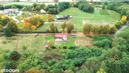 GÓRZYKOWO | Dom + działki budowlane (0,7886 ha)