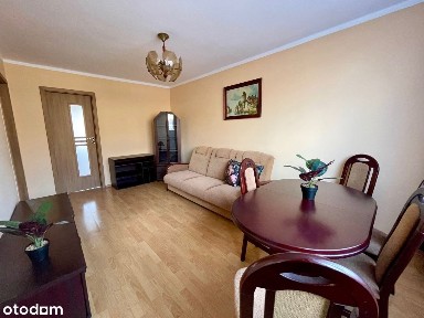 Załęska Hałda-Brynów, Katowice, śląskie