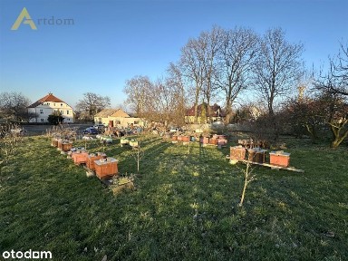 Złotniki, Krotoszyce, legnicki, dolnośląskie