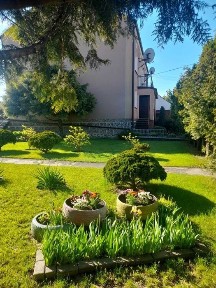 Dom z pięknym ogrodem