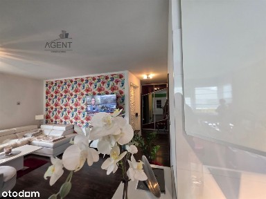 Wyżyny, Bydgoszcz, kujawsko-pomorskie