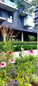 ul. Nadgórników, Bogucice, Katowice, śląskie