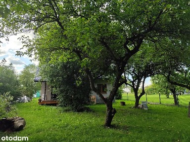 Ciche siedlisko w pobliżu Narwi