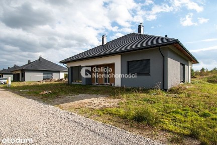 Dom z elewacją i dużą działką 10 arów