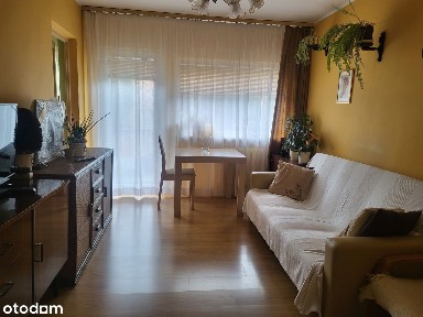 Ciche, słoneczne mieszkanie w bardzo dobrej lokalizacji ( ul JANA 8)