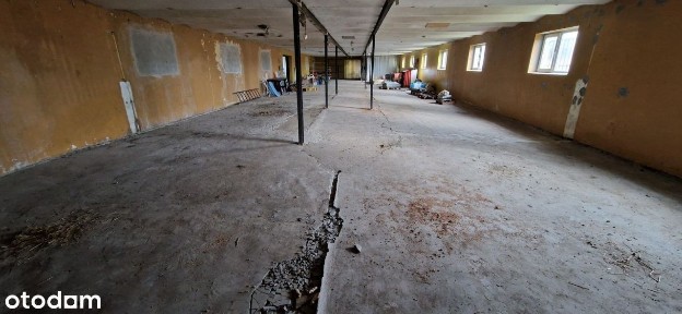 ul. Podlesie, Łączki Brzeskie, Przecław, mielecki, podkarpackie