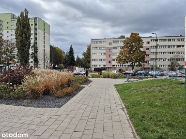 Mieszkanie 3 pok. rozkładowe 50 m2, Teofilów B