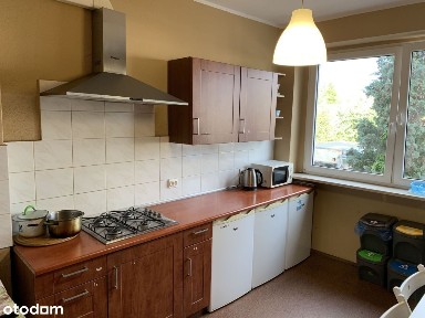 Pogodno, Grunwald, Poznań, wielkopolskie