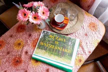 Wynajmę mieszkanie/pokój w Bolimowski Parku Krajobrazowym