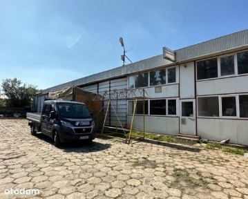 Nieżychowice, Chojnice, chojnicki, pomorskie