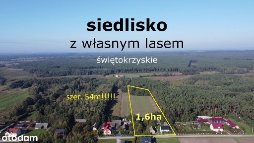 siedlisko z własnym lasem szerokość 54m ! idealne pod konie