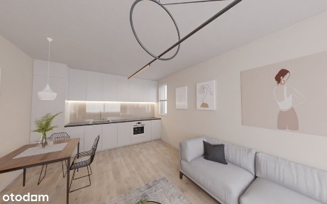 Dom wolnostojący do generalnego remontu