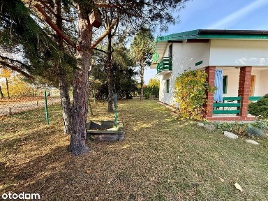 ul. Krzywa, Kolonia Sochocin, Sochocin, płoński, mazowieckie