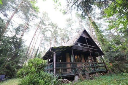 Urokliwy domek letniskowy Nad Narwią w sercu Puszczy Białej