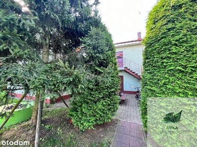 Międzywodzie, Dziwnów, kamieński, zachodniopomorskie