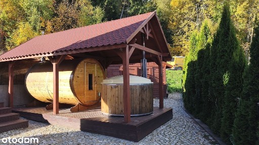 Urokliwy domek na skraju lasu w górach, wspaniałe widoki