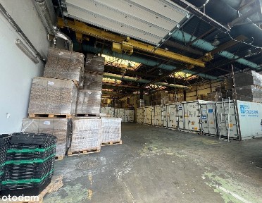 Magazyn/produkcja/handel/badania 600m, Bielany,S7,SUWNICE