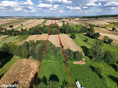 Siedlisko 3,202 ha, dom 200 m2, stodoła 200 m2, możliwość podziału !