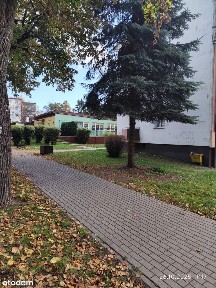 Sprzedam mieszkanie ok. 64 m2 położone w Świeciu przy ul. Kościuszki