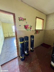 rynek Nowomiejski, Stare Miasto, Toruń, kujawsko-pomorskie