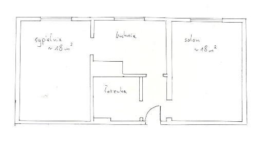 Przestronne mieszkanie w centrum / 1 piętro / 54m²