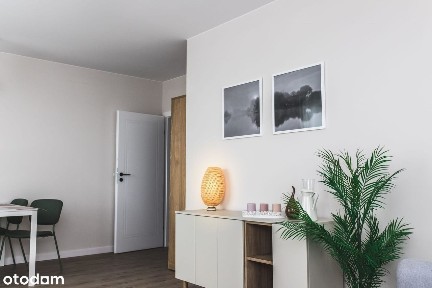 ul. Janowiecka, Elsnerów, Targówek, Warszawa, mazowieckie