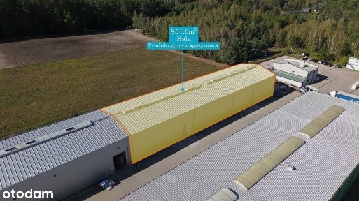 Wiktorów, Leszno, warszawski zachodni, mazowieckie