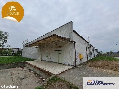 Lokal: Lokal Stalowa Wola / ul. Okulickiego 125 A