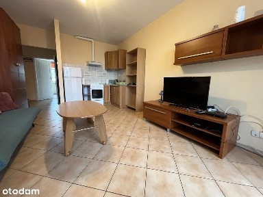 Stare Miasto, Śródmieście, Szczecin, zachodniopomorskie