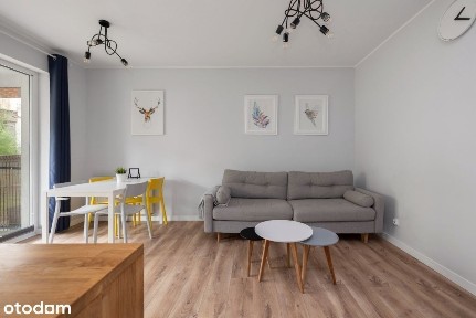 3 pokoje z ogrodem w centrum! Idealne pod wynajem