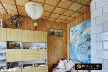 Domek na podlaskiej wsi wokół łąk i lasów