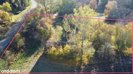 Siedlisko (działka 3623 m2) Przyłęk pow. Zwoleń.