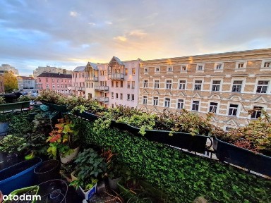 ul. Mikołaja Reja, Ołbin, Śródmieście, Wrocław, dolnośląskie