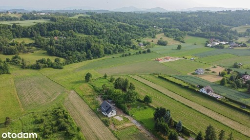 Proszę o kontakt osoby, które dały serduszko w ogłoszeniu : )