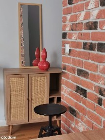 Przytulna kawalerka na wynajem, koło kina Kijów.