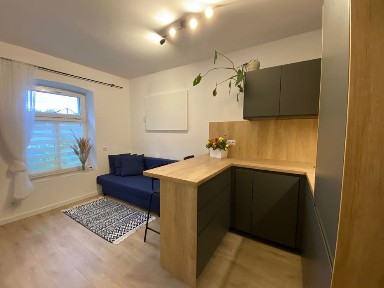 Centrum po remoncie, do wprowadzenia, osobna sypialnia + duża suterena