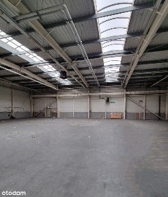 Suchy Las, poznański, wielkopolskie