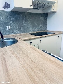 Świdnica, świdnicki, dolnośląskie