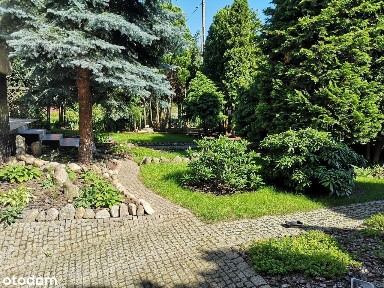 Dom wolnostojący w Wołowie