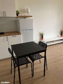 Mieszkanie 2 pokojowe po remoncie, w centrum