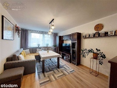 Centrum, Chorzów, śląskie