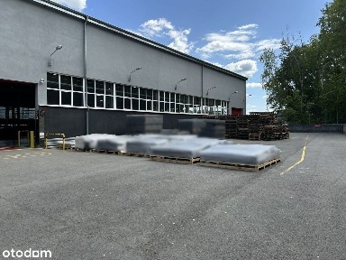 ul. Dębowa, Kotlarnia, Bierawa, kędzierzyńsko-kozielski, opolskie