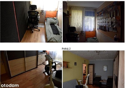 Udział w mieszkaniu w Ziębicach